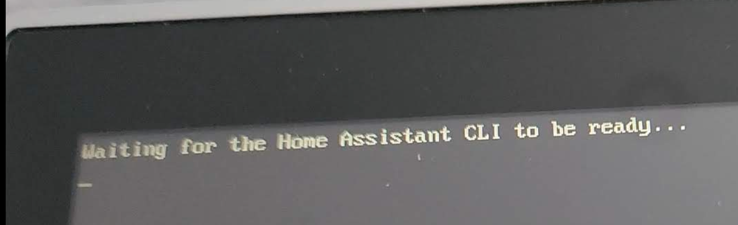 Waiting for the Home Assistant CLI to be ready...