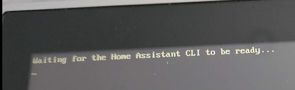 Waiting for the Home Assistant CLI to be ready...